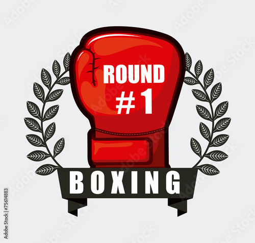 boxing sport