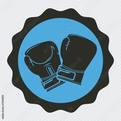 boxing sport