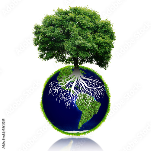 Planeta ziemia z drzewem wyrośniętym z niej.