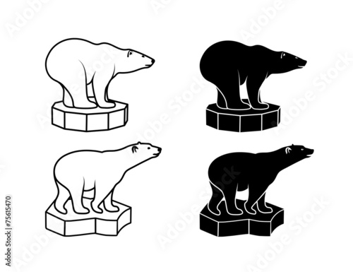 polar bear on an ice floe