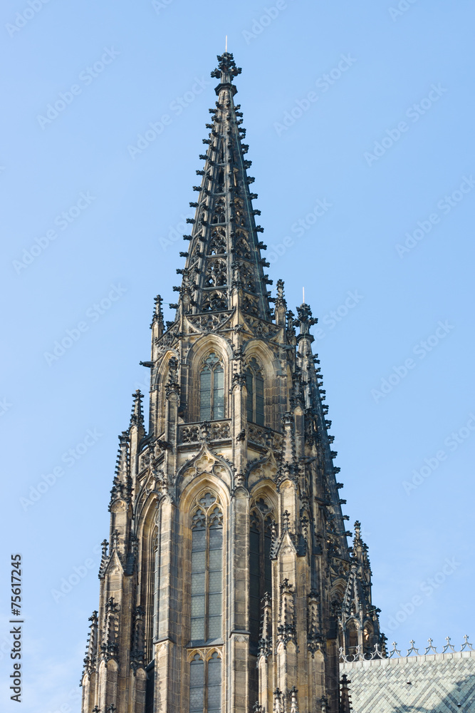 Detail of the Cathedral of Saints Vitus, Prague.
