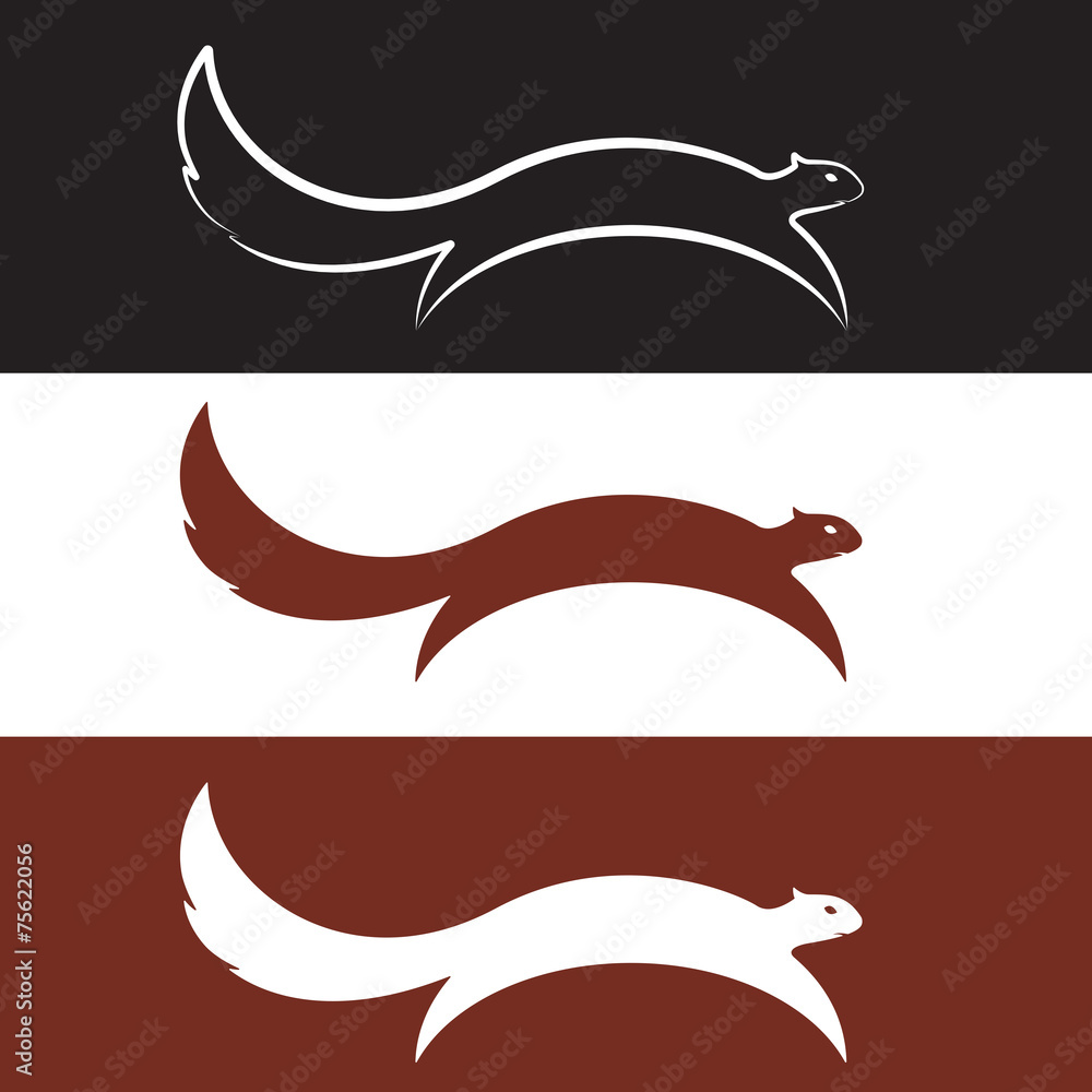 Vector image of an squirrel design Vector image of an squirrel design