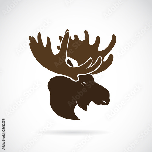 Vector images of moose deer head on a white background.