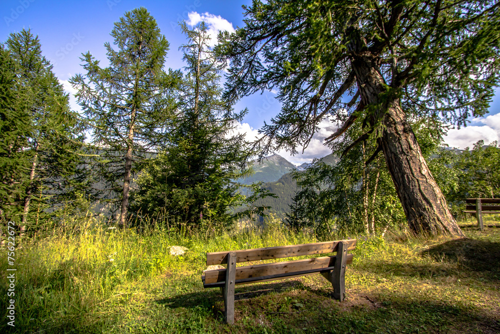 Bench in a forest of Mont Blanc 