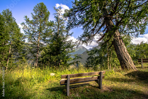 Bench in a forest of Mont Blanc 