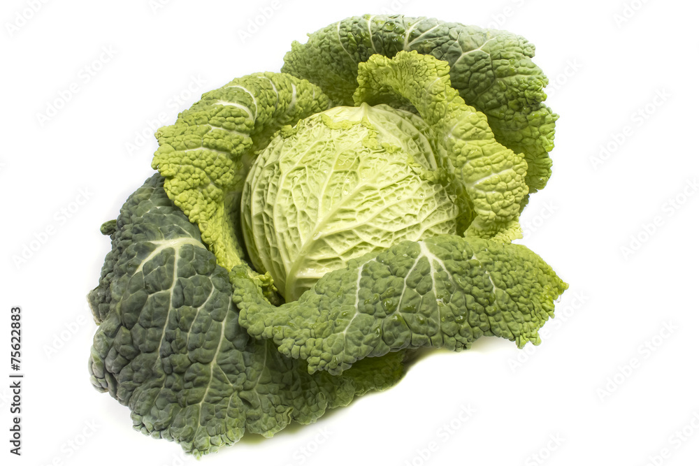 Fresh green savoy cabbage head