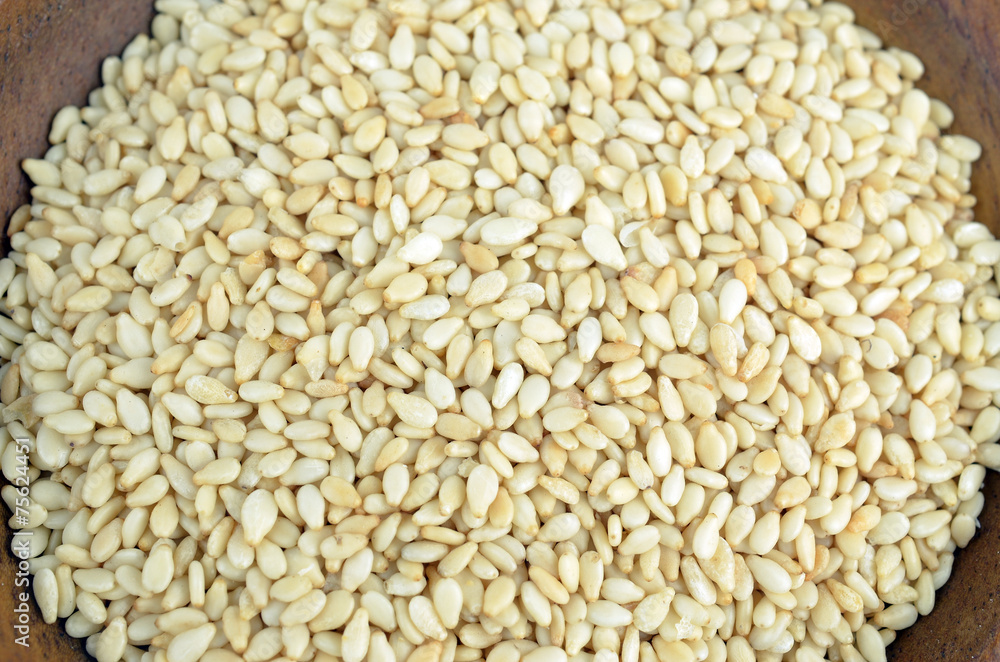 Sesame Sesame