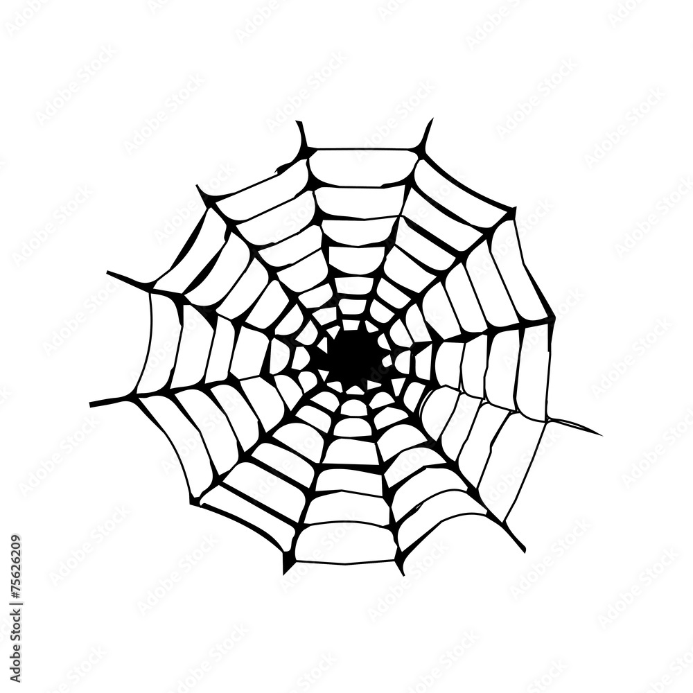 cobweb vector