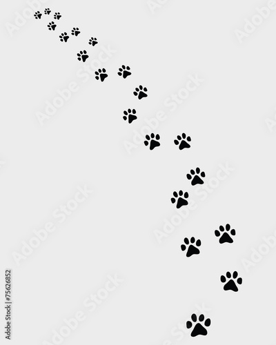 Black trail of cat, turn left, vector illustration