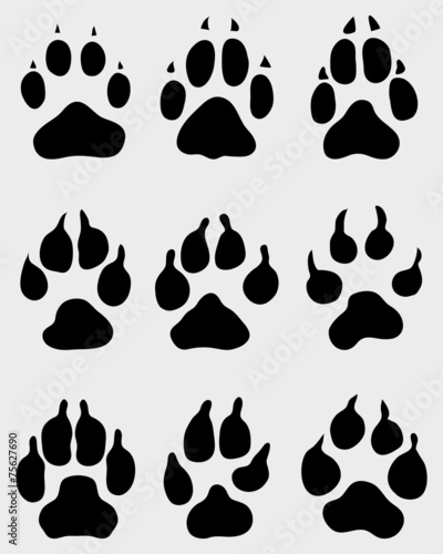 Black print of paw of dogs, vector illustration