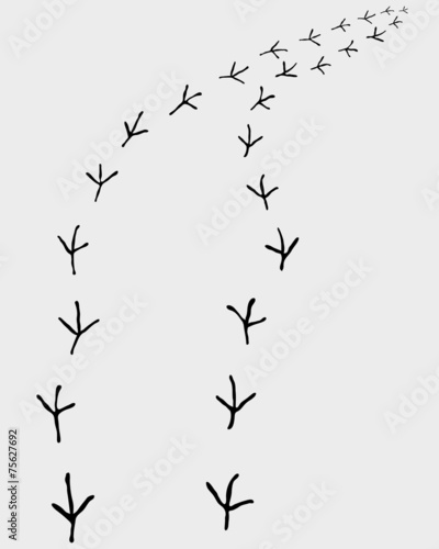 Black trail of birds  turn right  vector illustration