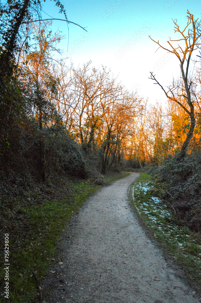 Fototapeta premium Sentiero Oasi Verde