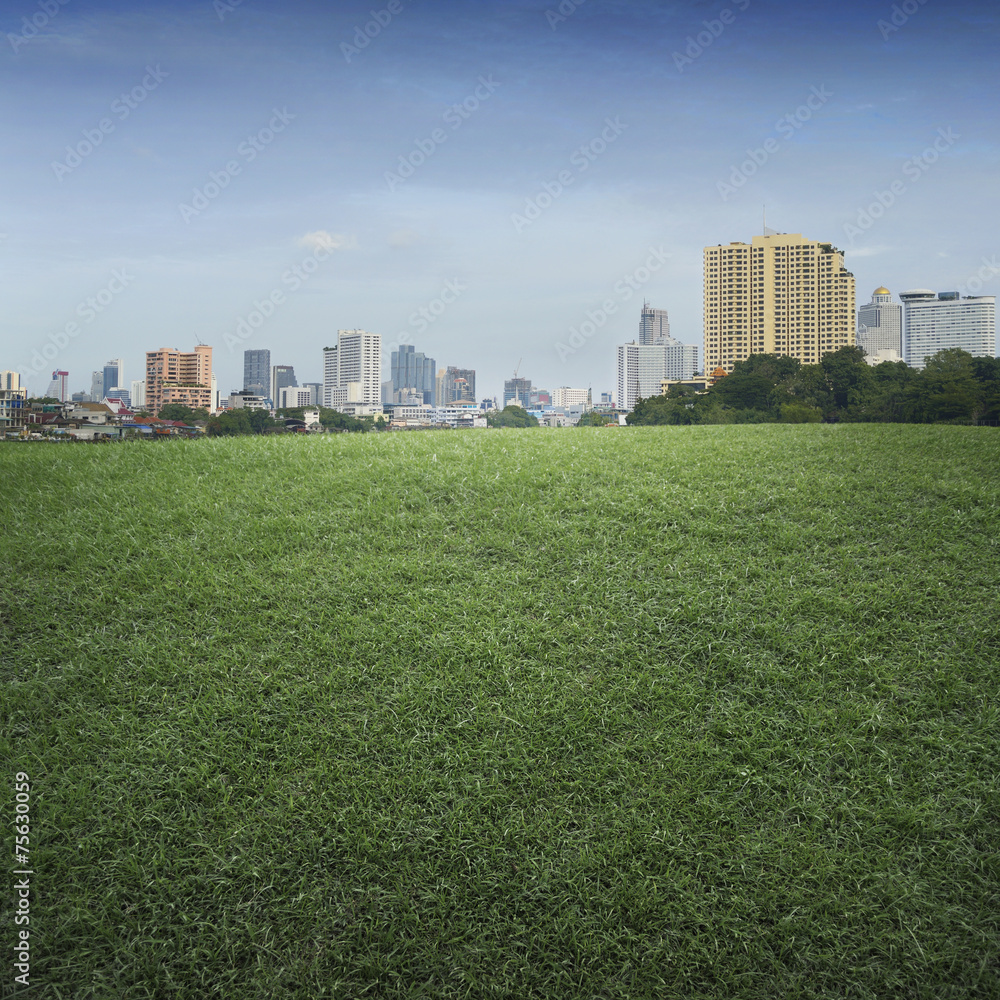 An empty scene of green grass field and office building city