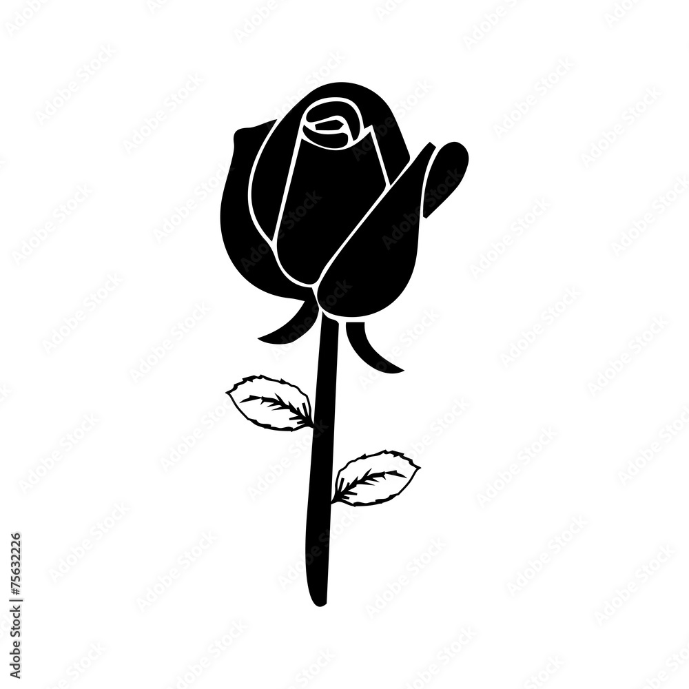 rose vector