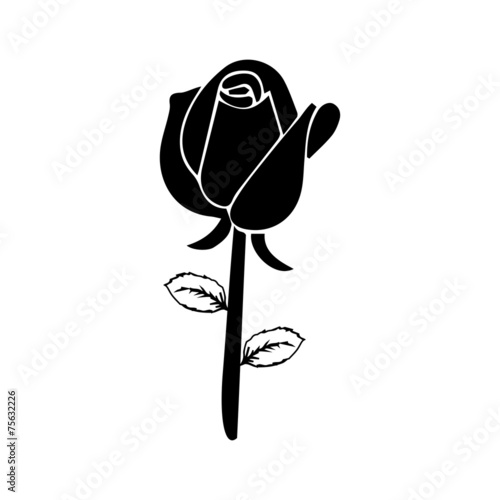 rose vector