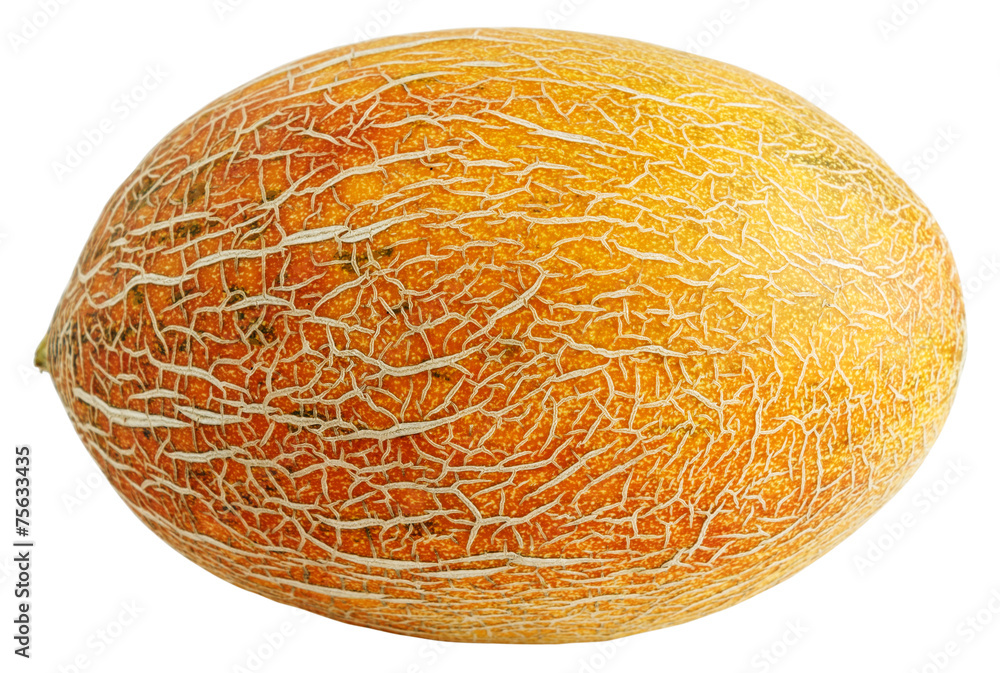 Melon isolated on white Melon isolated on white