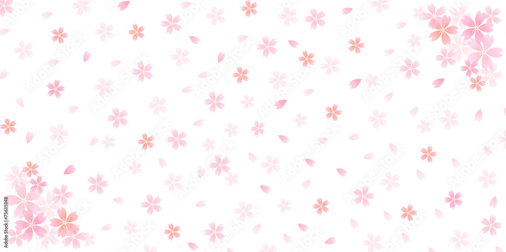 桜 花 背景 桜 花 背景