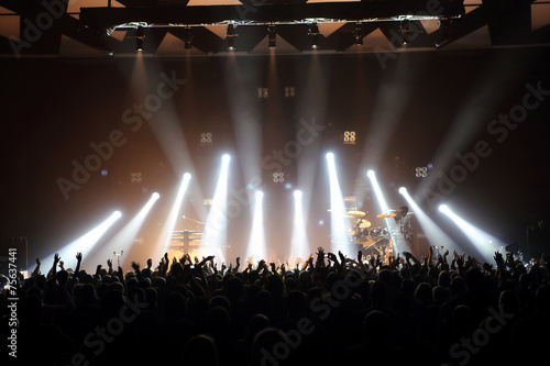 Slika na platnu Music concert with audience and lights from the stage