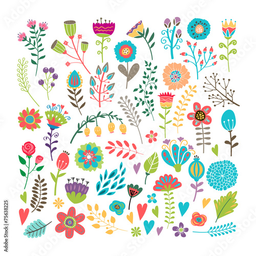 Hand drawn floral elements