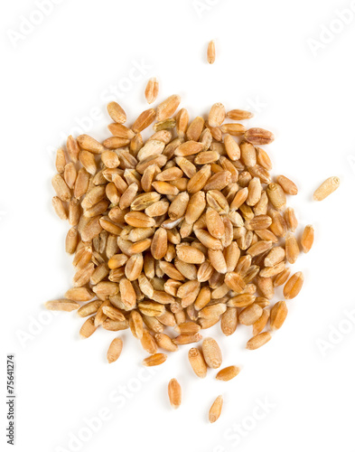 pearl barley isolated on white