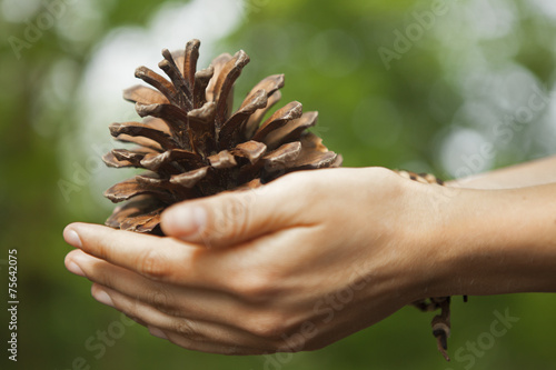 A woman holding a pine cone in her hands.