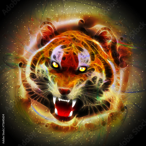 Cosmic Fire Tiger Roar