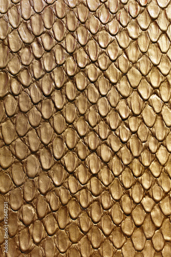 Gold snake texture