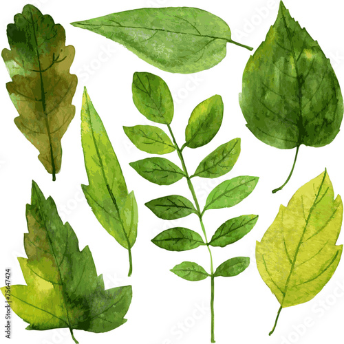 set of green leaves in watercolor