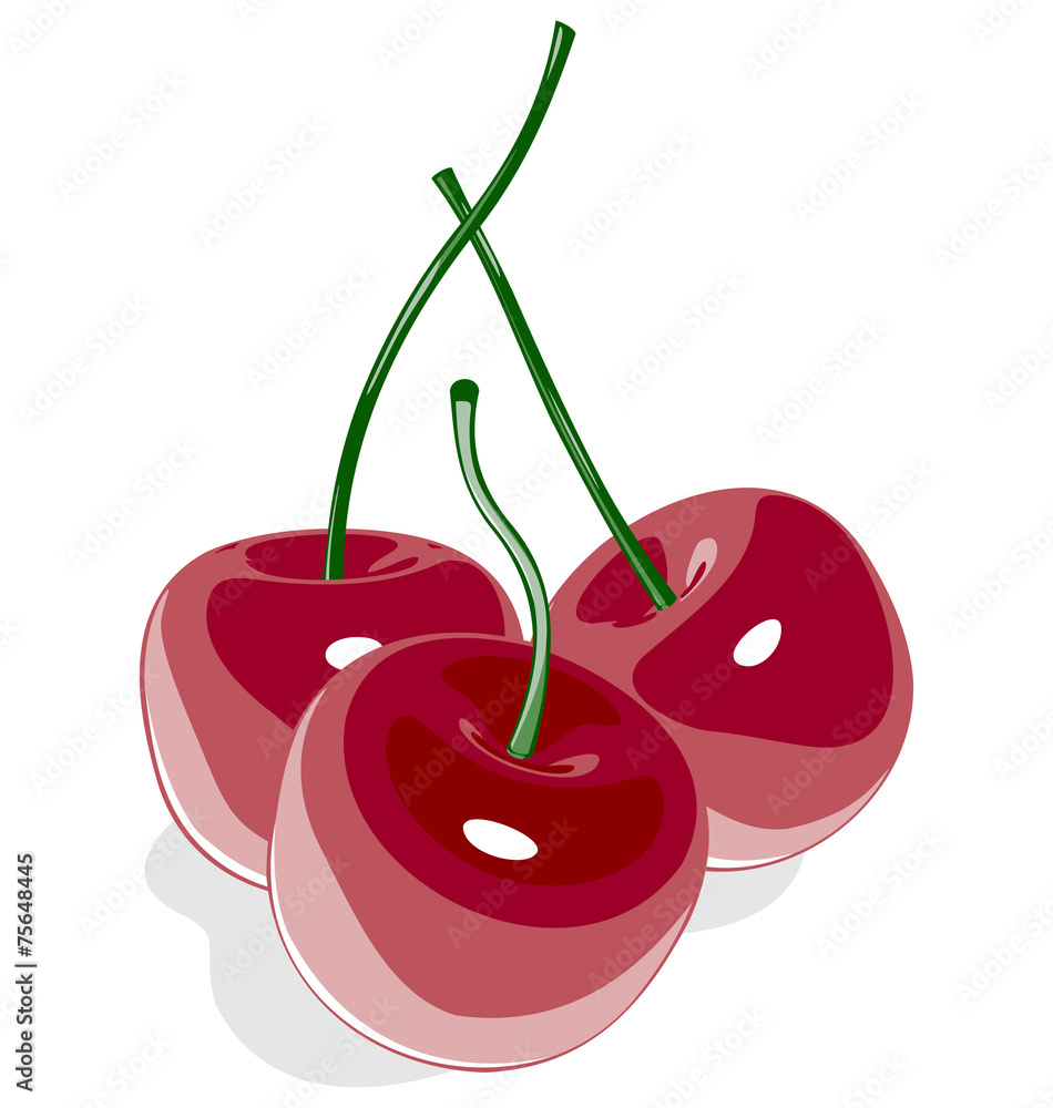 Red sweet cherry isolated on white background