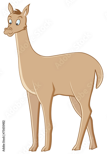 vicuna