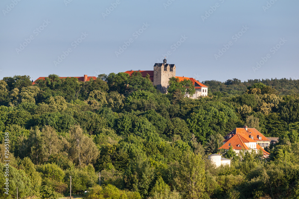 Blick auf das Schloss Ballenstedt