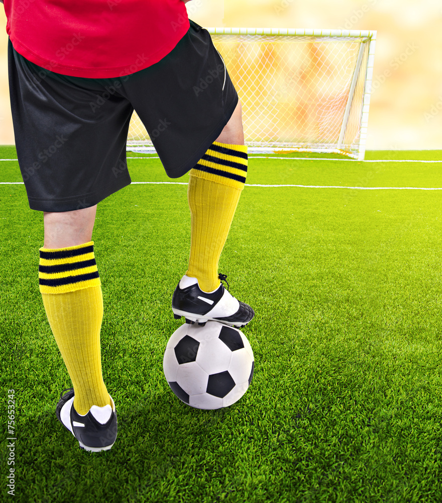 Fototapeta premium A soccer ball in front of goal