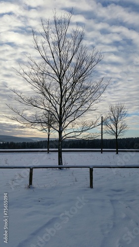 Winterliche Morgenstimmung photo