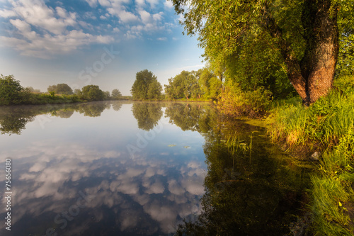 Reflection of trees on the shore at sunrise rays © Dmytro Kosmenko