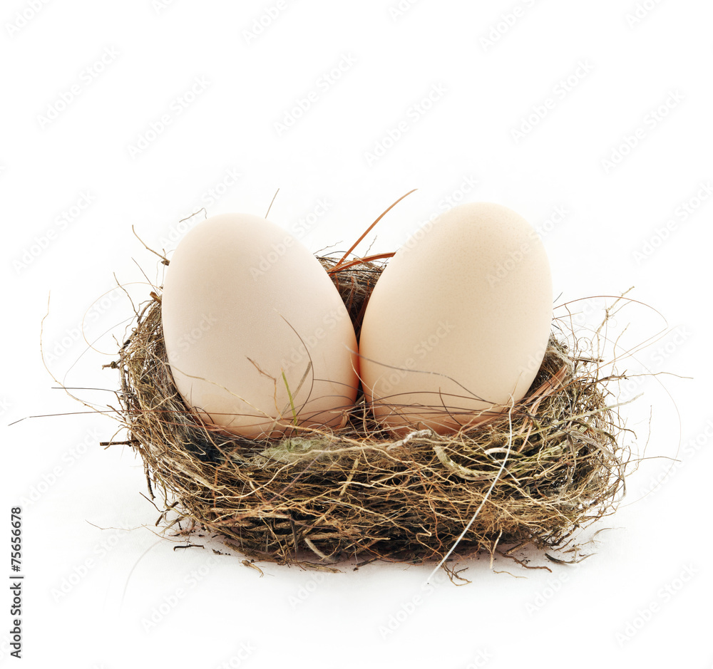Two eggs inside the nest Two eggs inside the nest