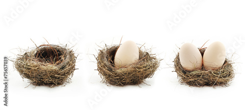 Cuadro en lienzo Empty nest and eggs inside the nests