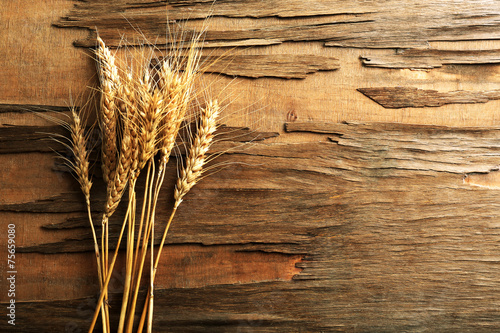 Spikelets of wheat on wooden background