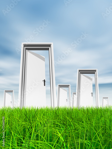 White door in grass with sky background