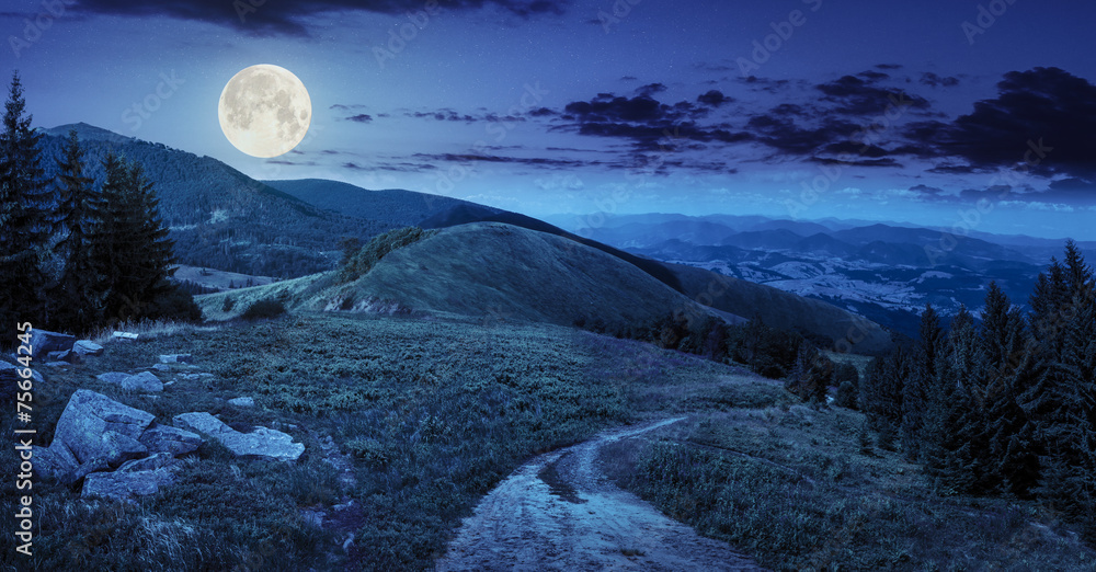 Fototapeta premium sosny w pobliżu doliny w górach w nocy