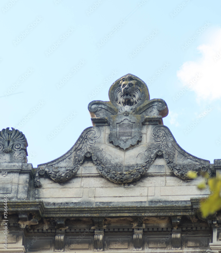 Obraz premium Statue de lion