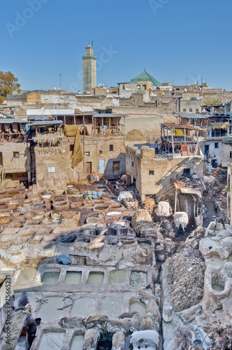 Leather tannery at Fez, Morocco photo