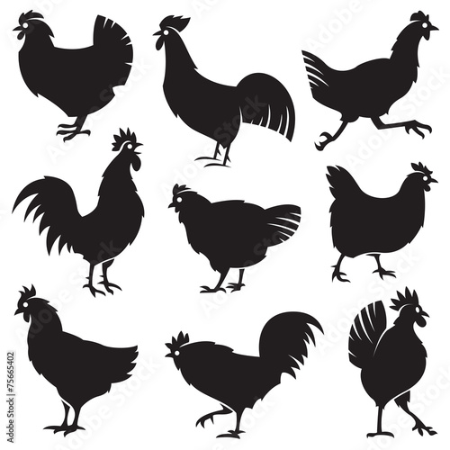 monochrome set of different silhouettes of chickens