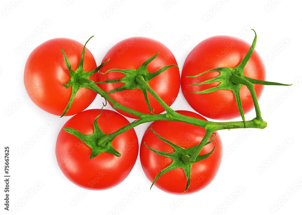 red tomatoes