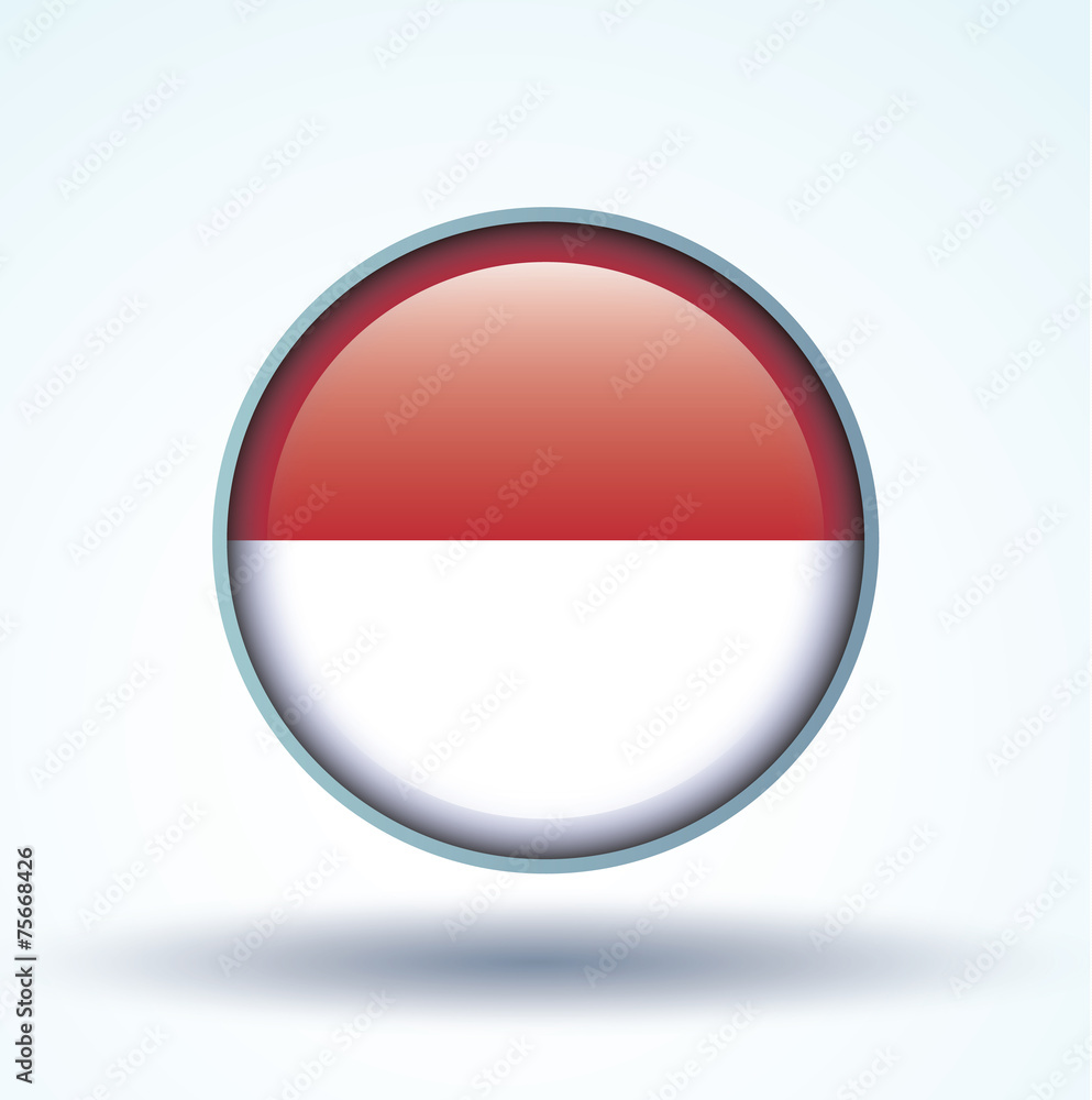 Flag set of Indonesia, vector illustration Flag set of Indonesia, vector illustration