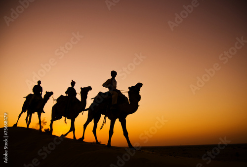 Indigenous Indian Men Riding Desert Camel Concept