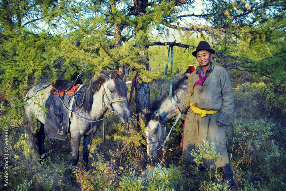 Mongolian Tsataan Horses Relax Break Concept Mongolian Tsataan Horses Relax Break Concept