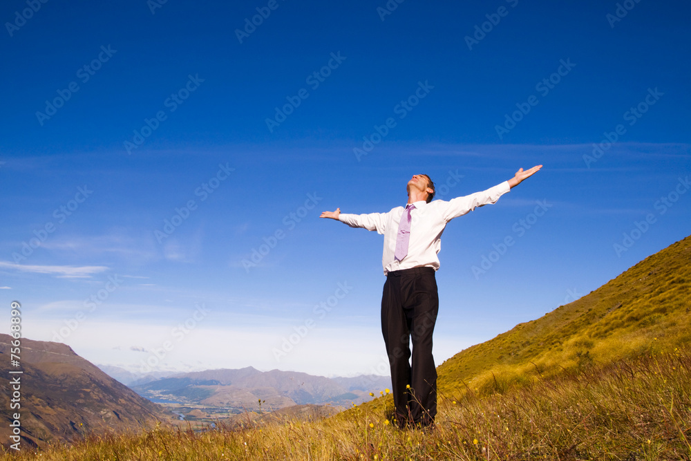 Business Man Standing On The Mountains Business Man Standing On The Mountains