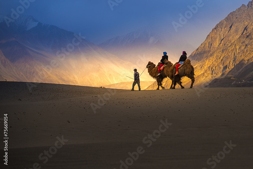 Camel safari in Nubra Valley at Leh Ladakh India photo