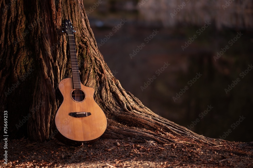 Wooden Acoustic Guitar - obrazy, fototapety, plakaty 