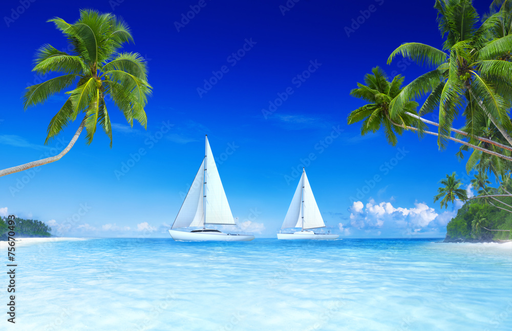 Yacht island ocean palm tree concept